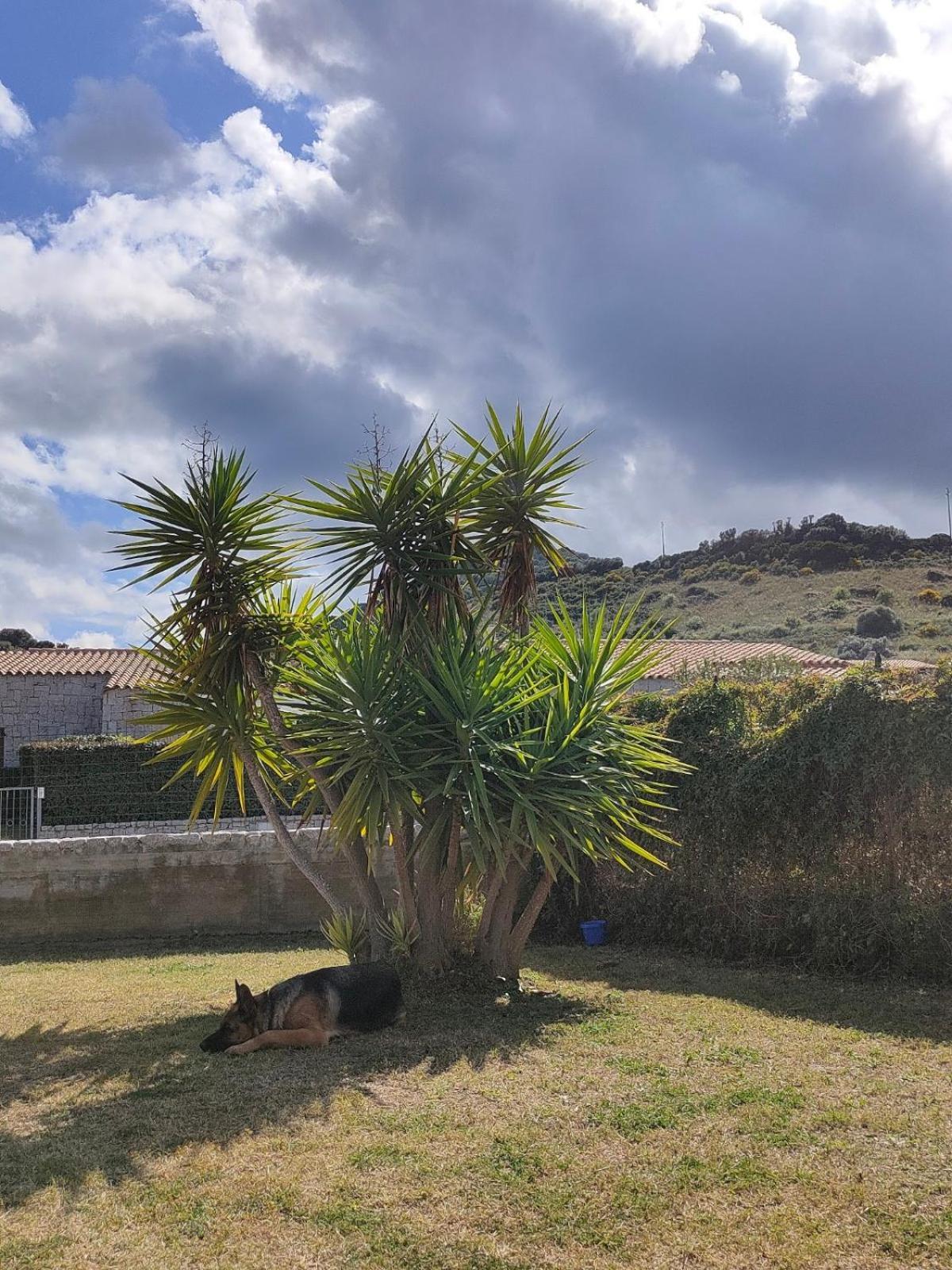Casa vacanze Cala Sinzias Castiadas